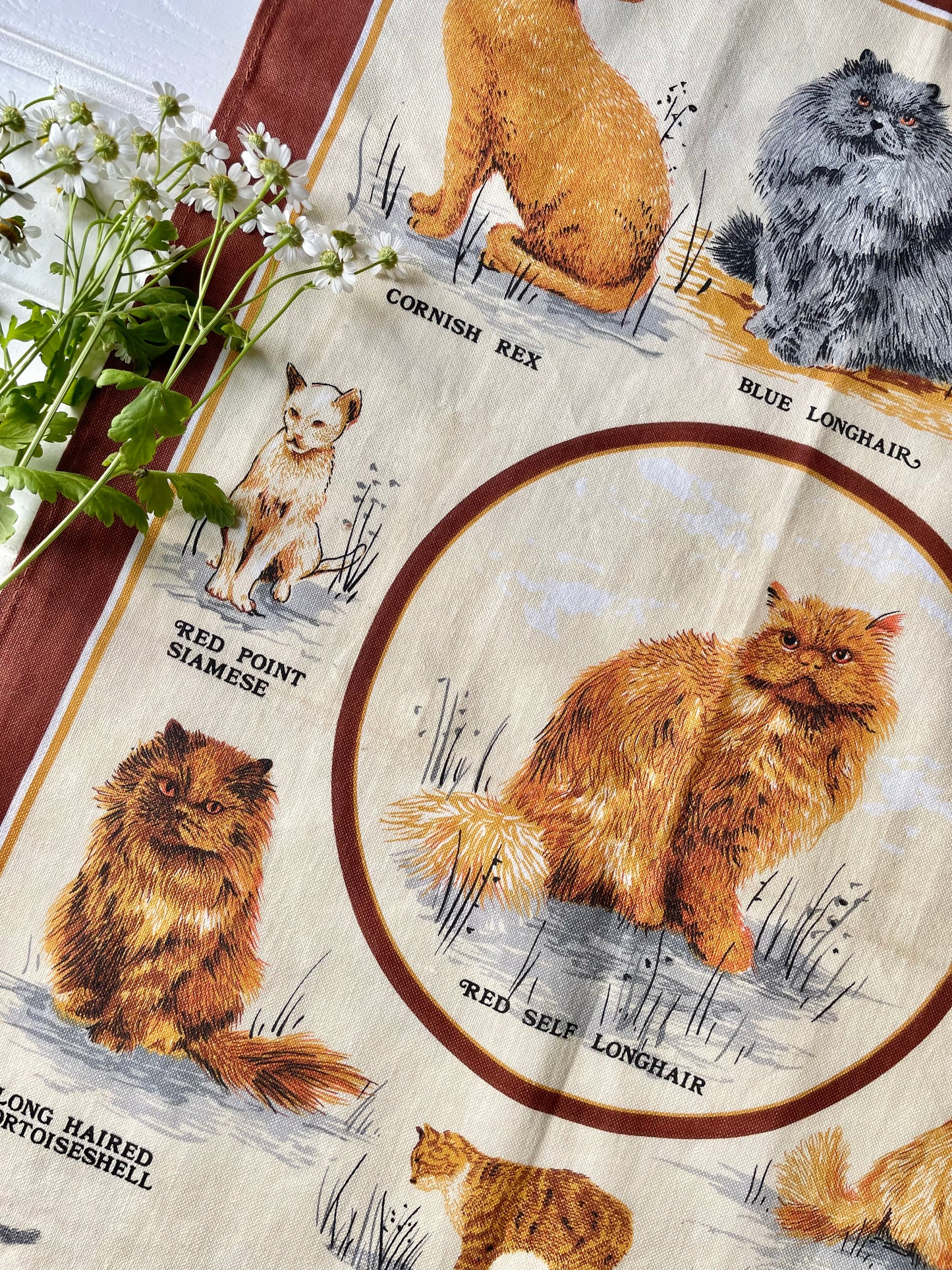 Cat Tea Towel