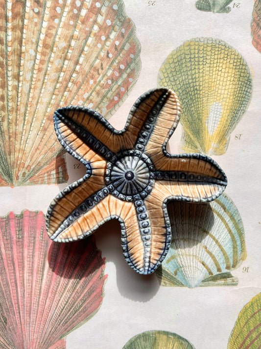 Wade Starfish ⭐️