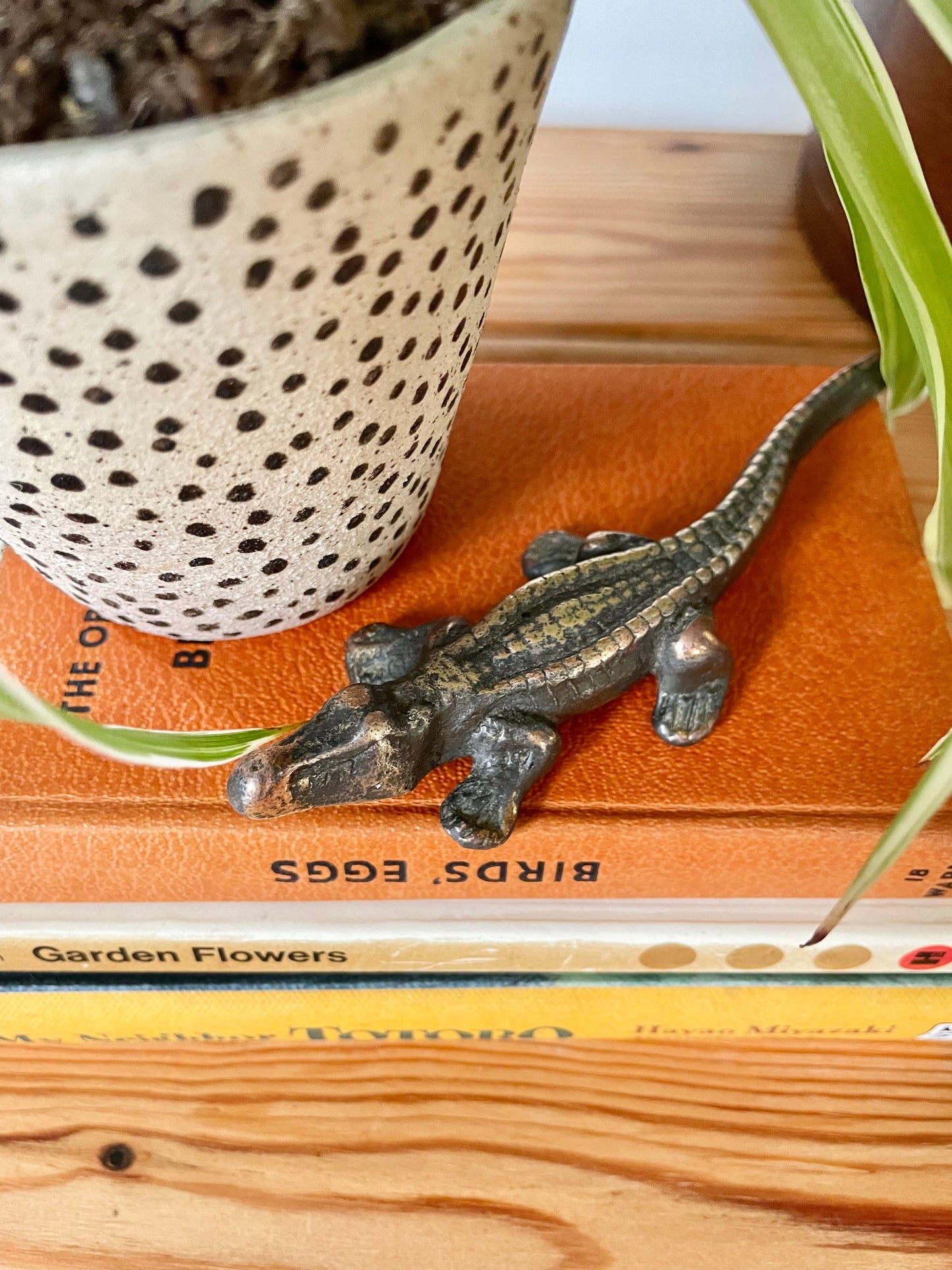 Little brass crocodile π