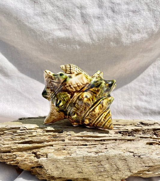Shell Pot