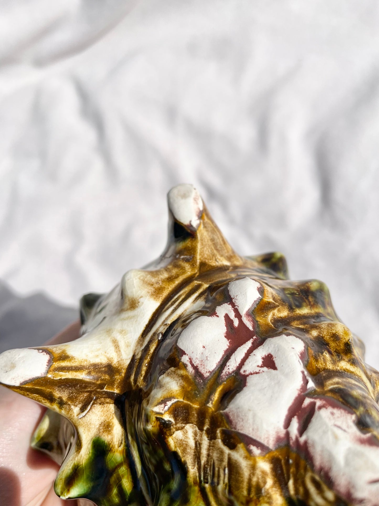 Shell Pot