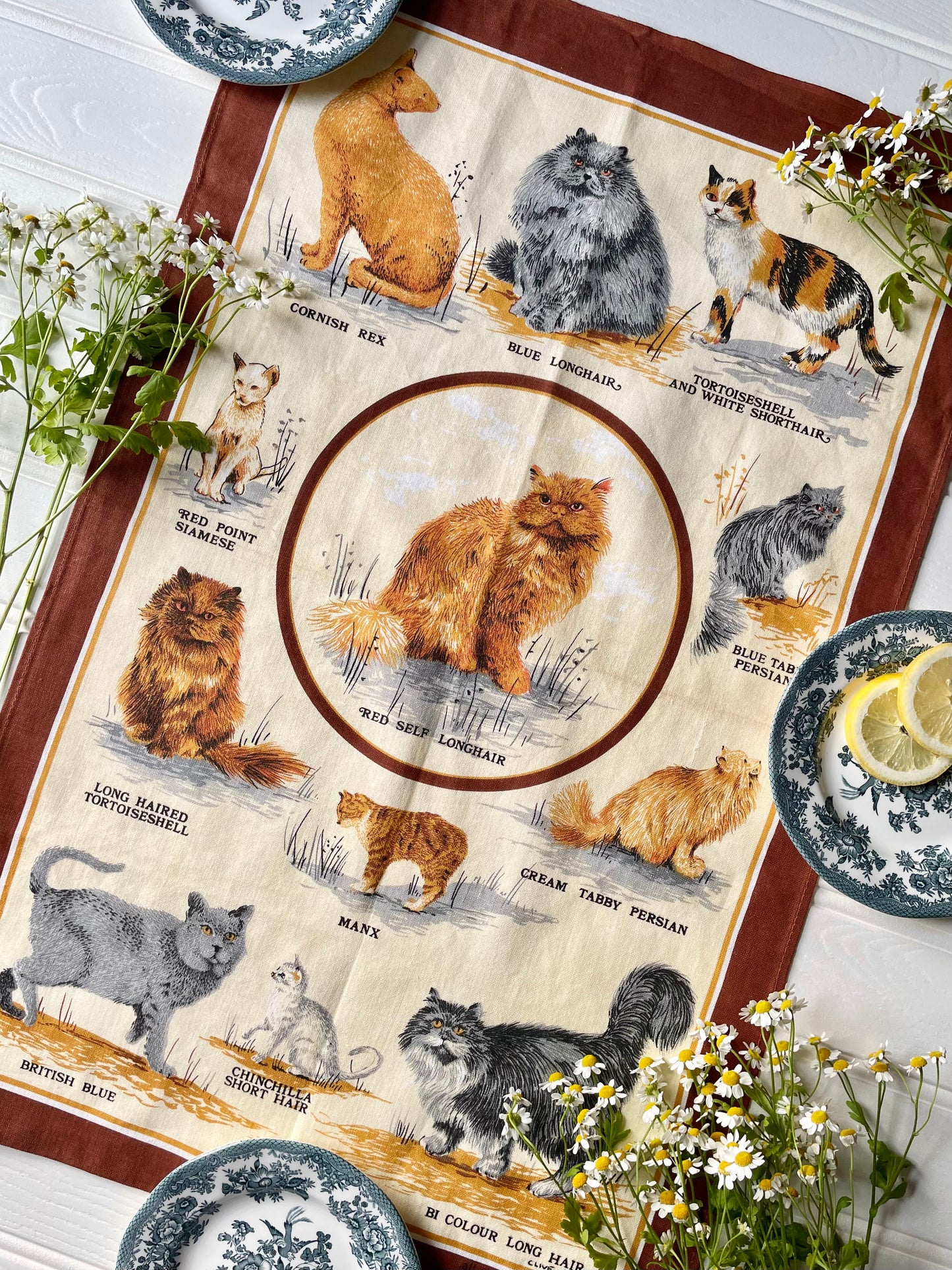 Cat Tea Towel