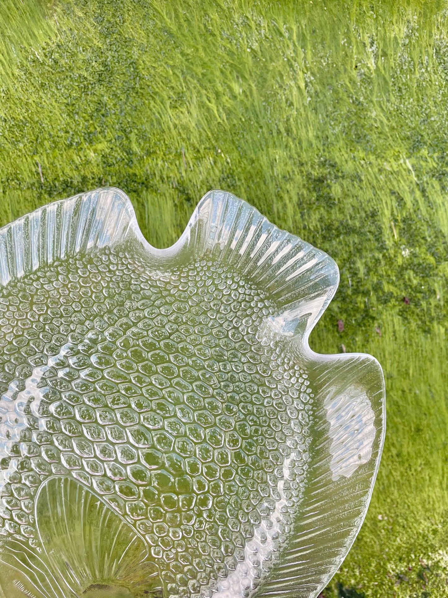 Large fish serving dish 🐟