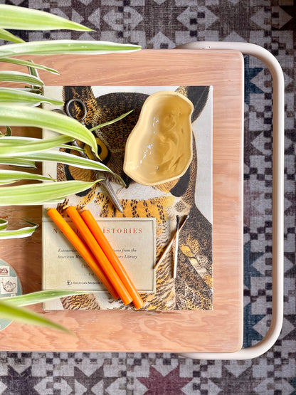 Chick Jelly Mould 🐥