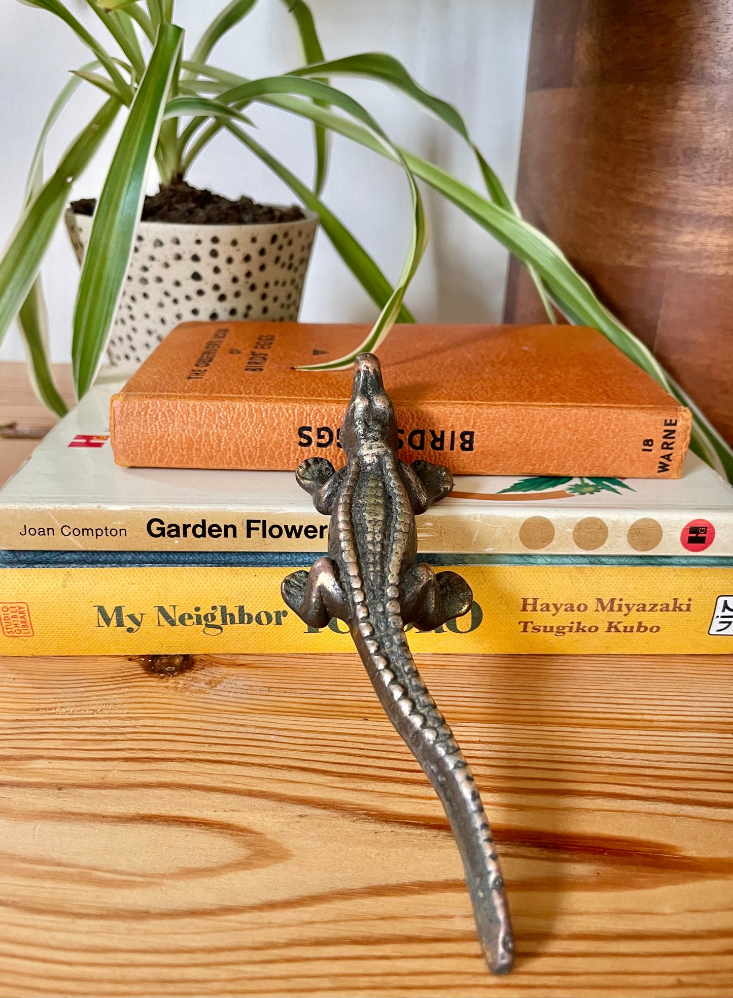 Little brass crocodile 🐊