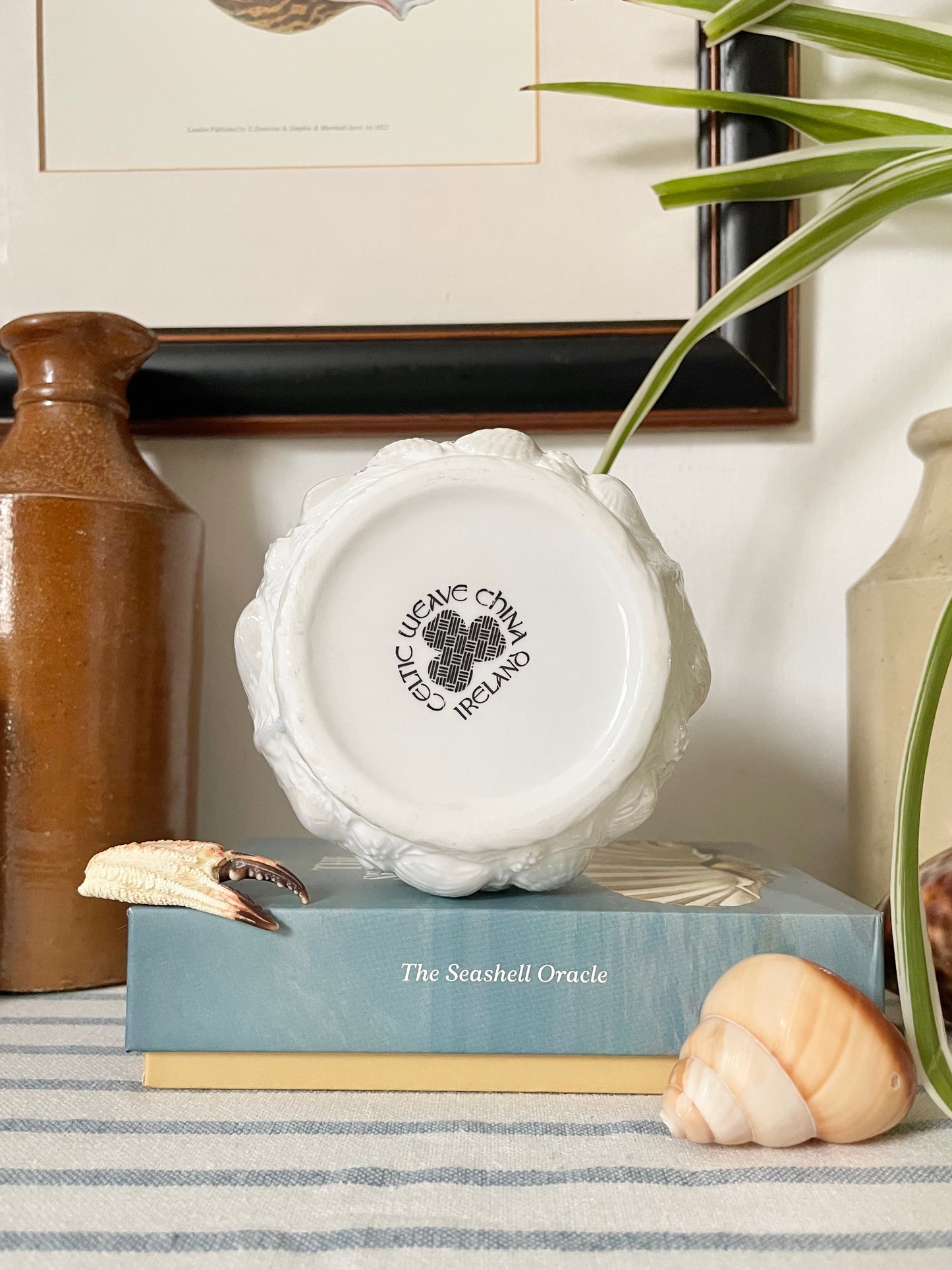 Pearlescent Shell Dish