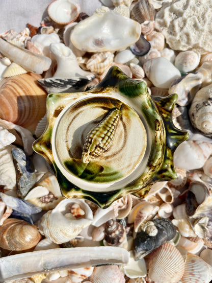 Shell Pot