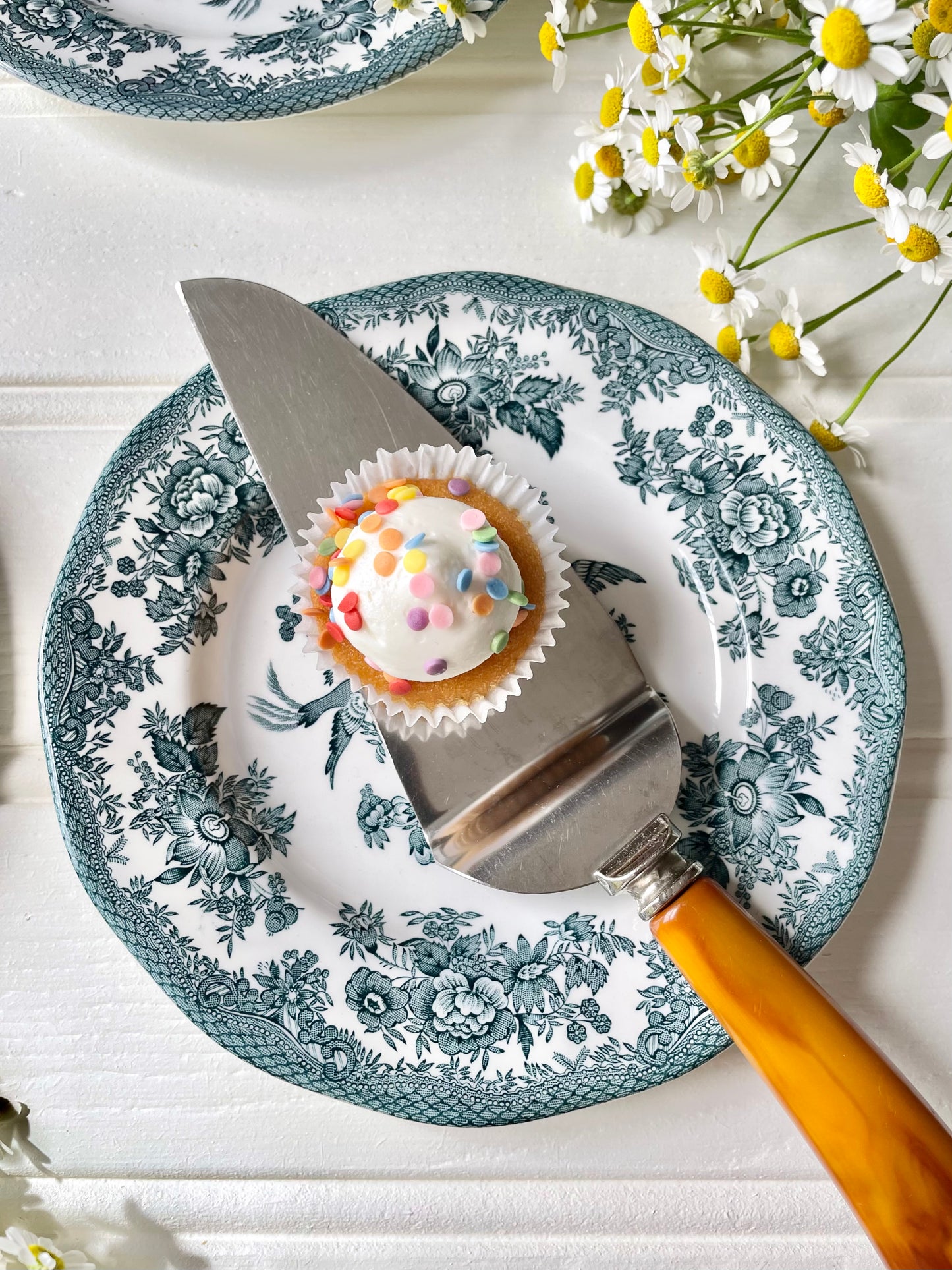 Cake Knife