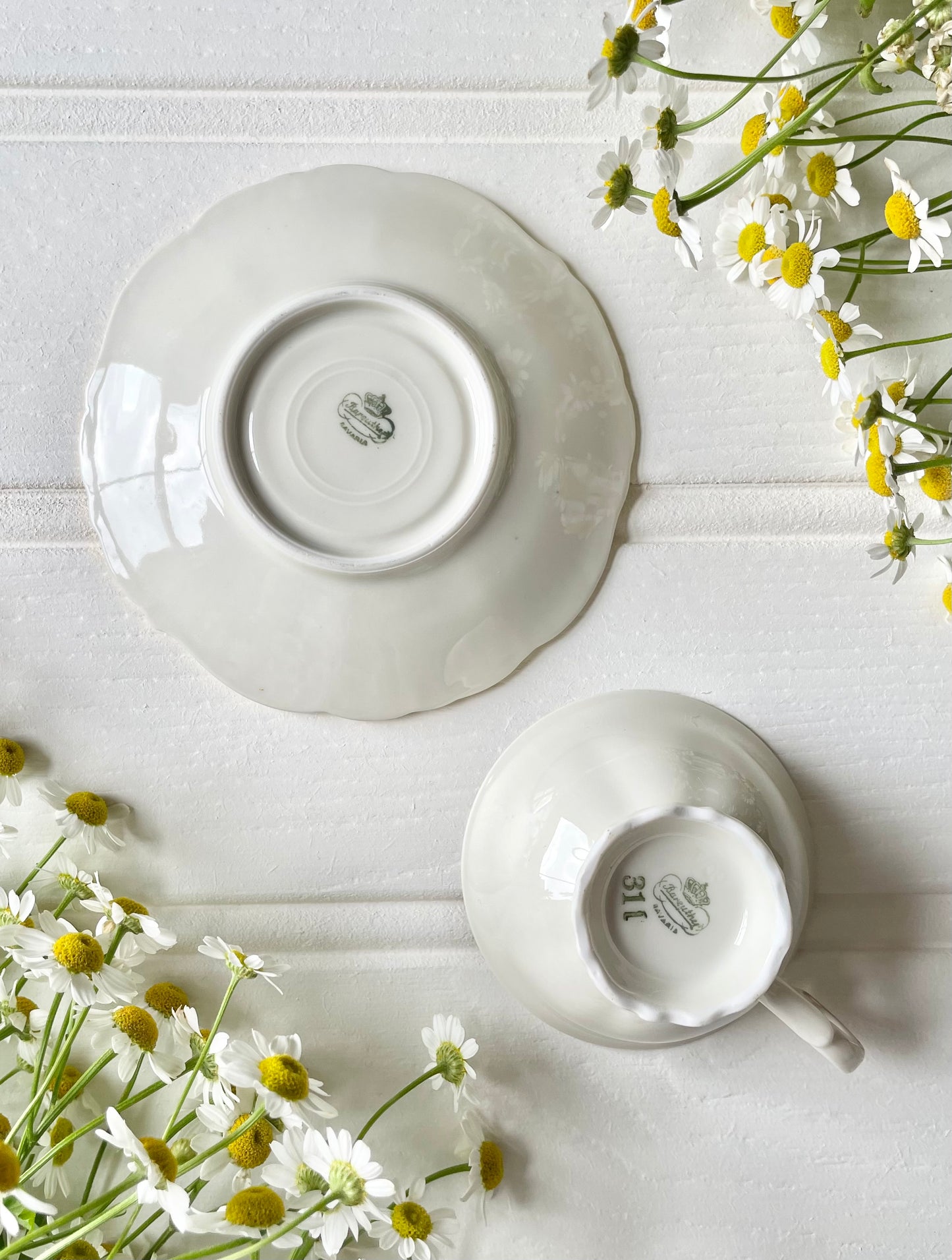 Teacup & Saucer