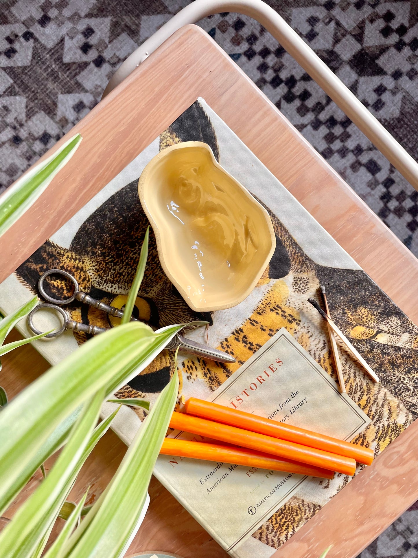 Chick Jelly Mould 🐥