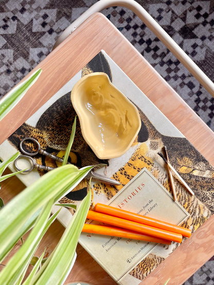 Chick Jelly Mould 🐥