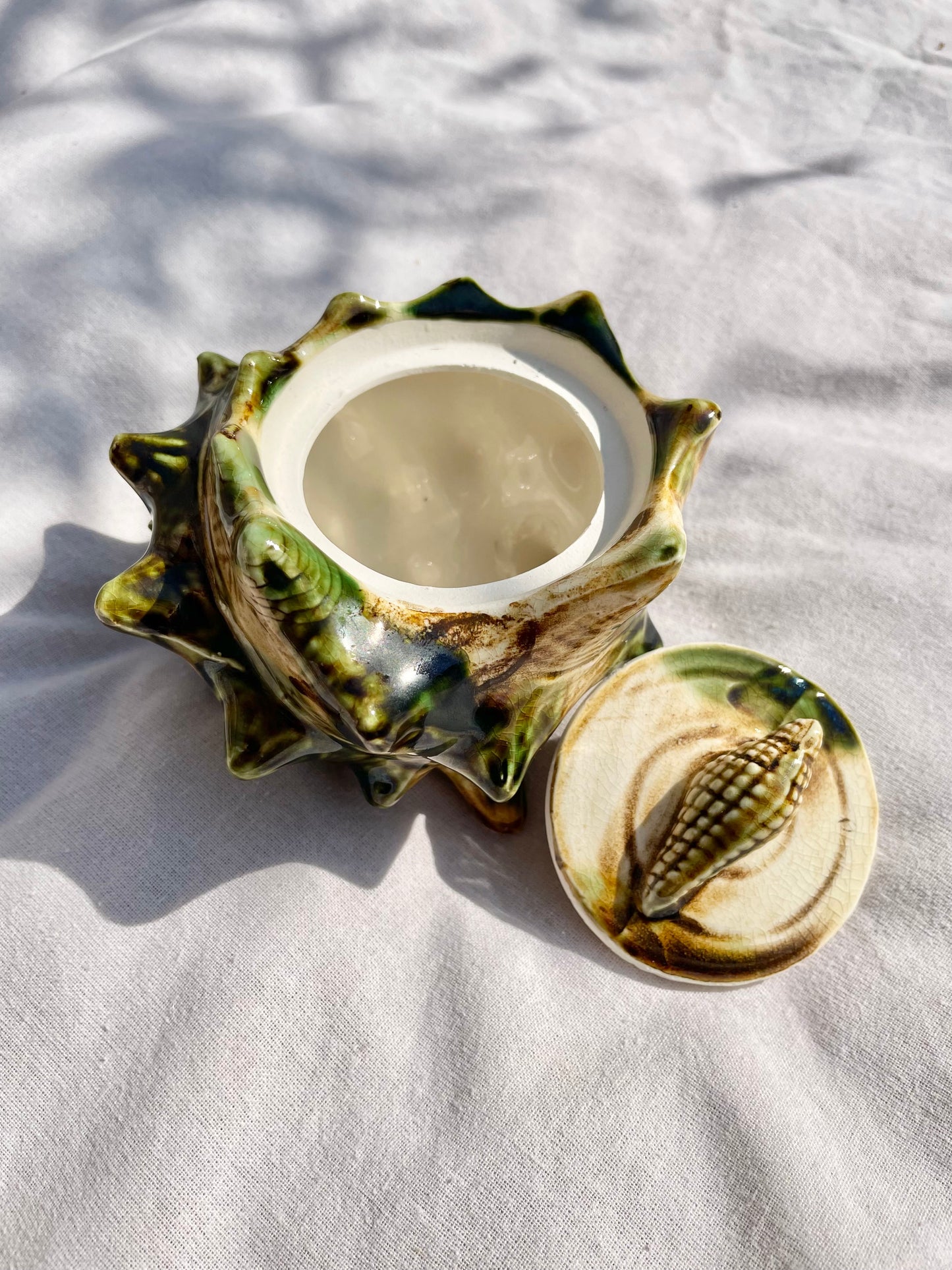 Shell Pot