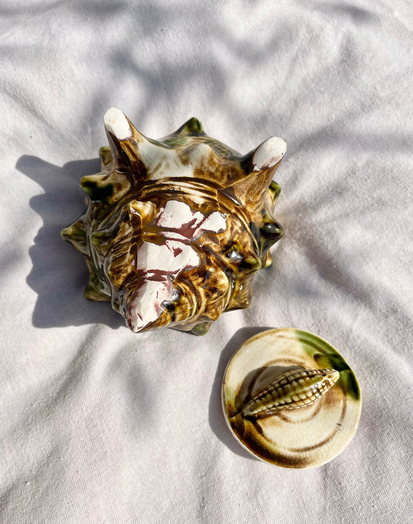 Shell Pot