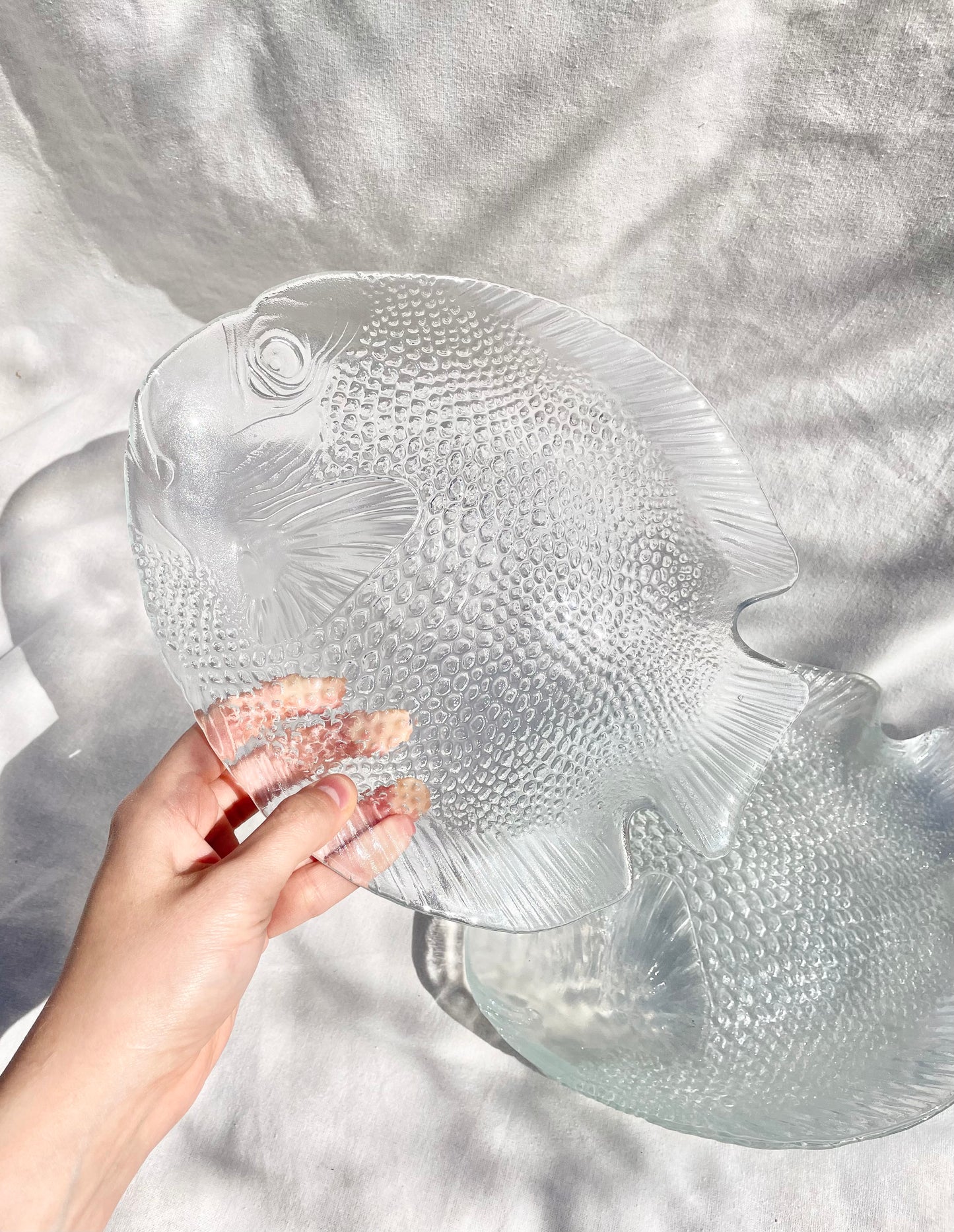 Set of 6 fish dishes