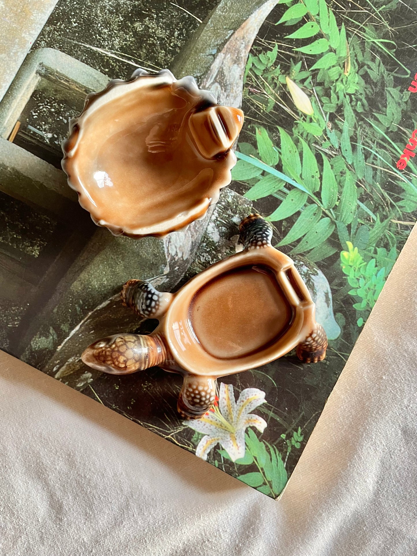 Wade Tortoise Pot