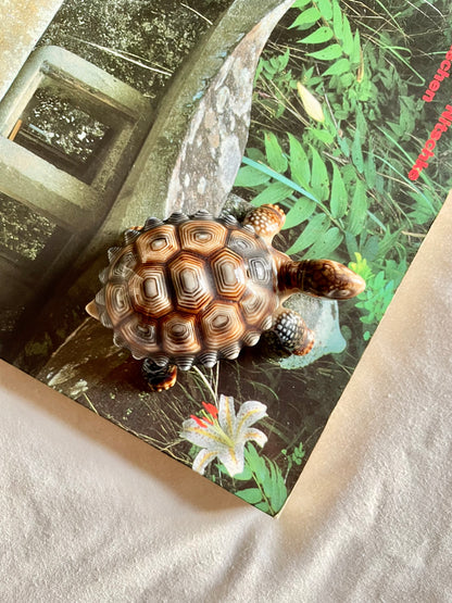 Wade Tortoise Pot