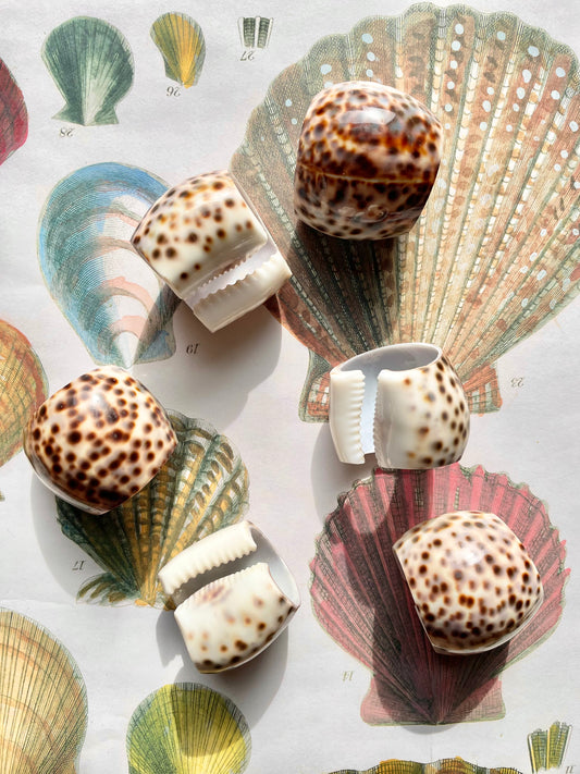 Set of 6 Shell napkin rings 🐚✨