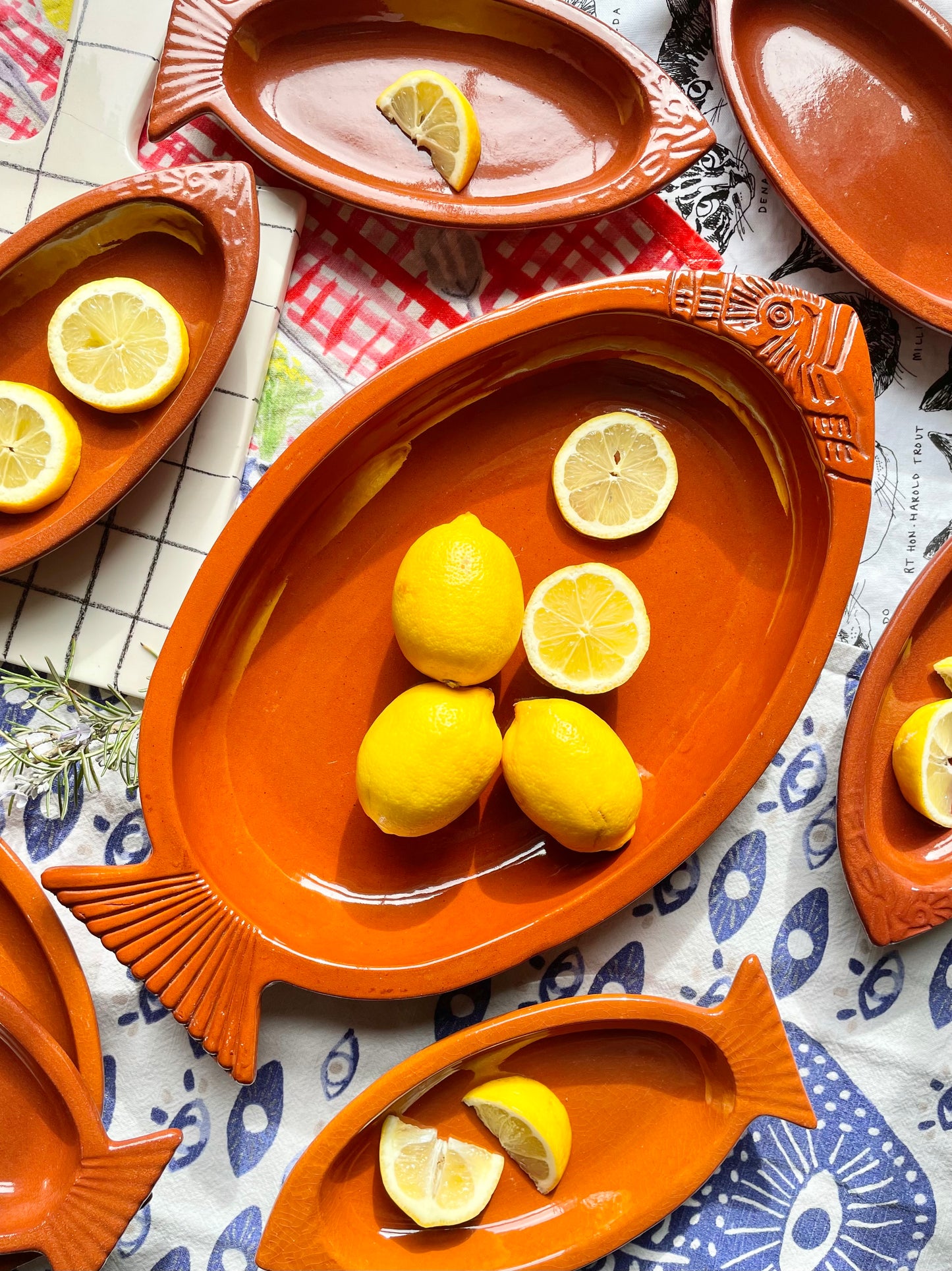 8-piece set of terracotta fish serving dishes
