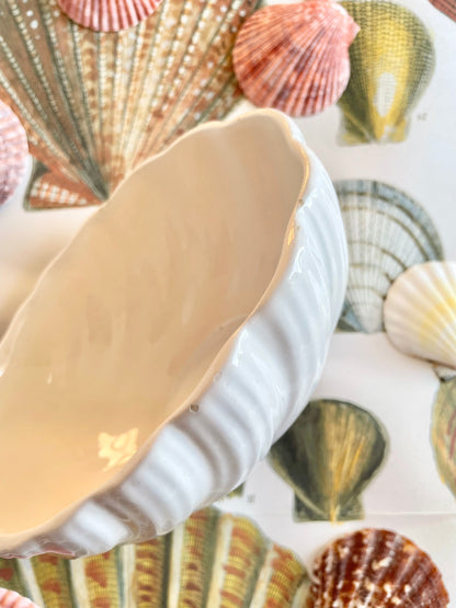 Portuguese Shell Bowl
