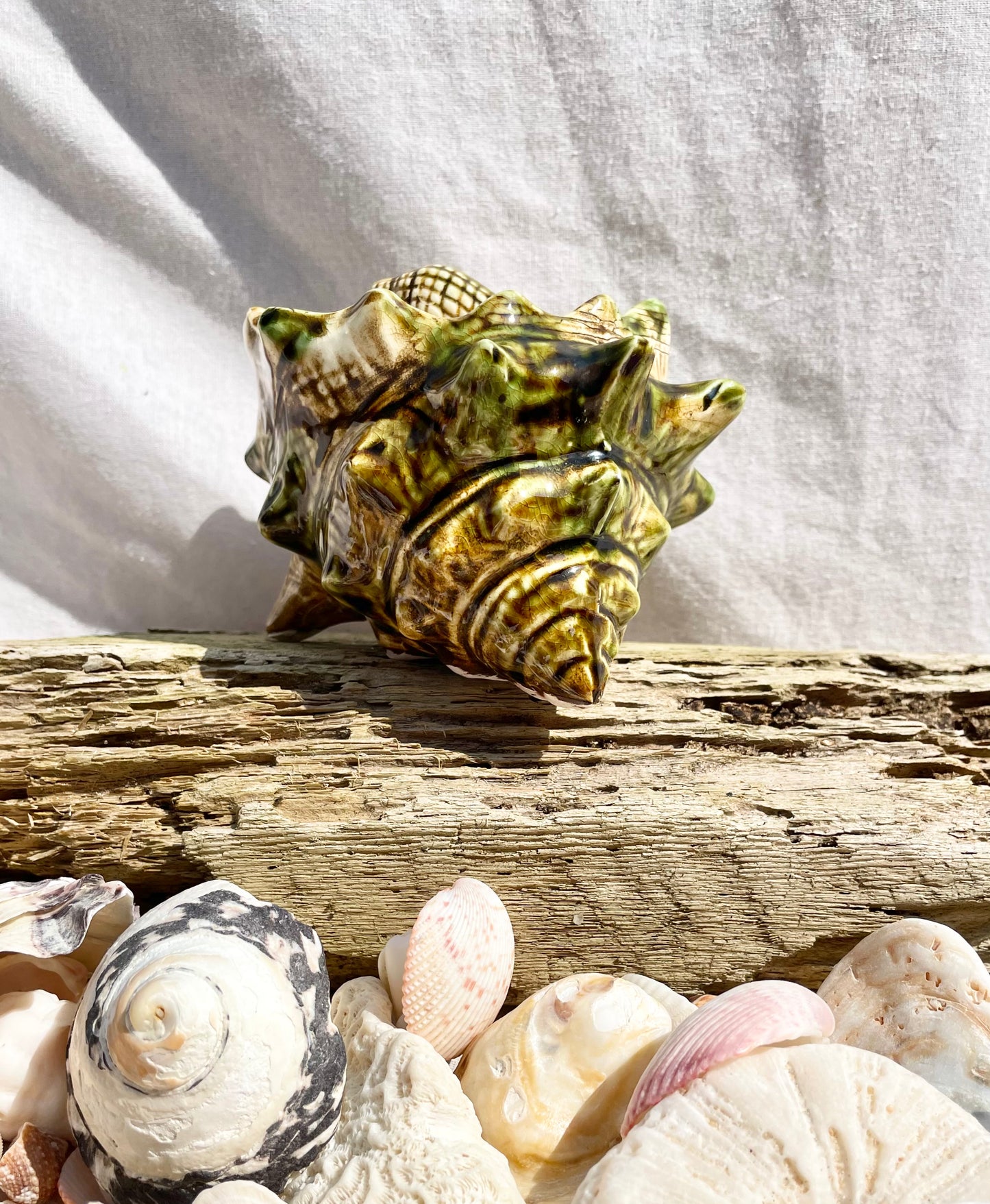 Shell Pot