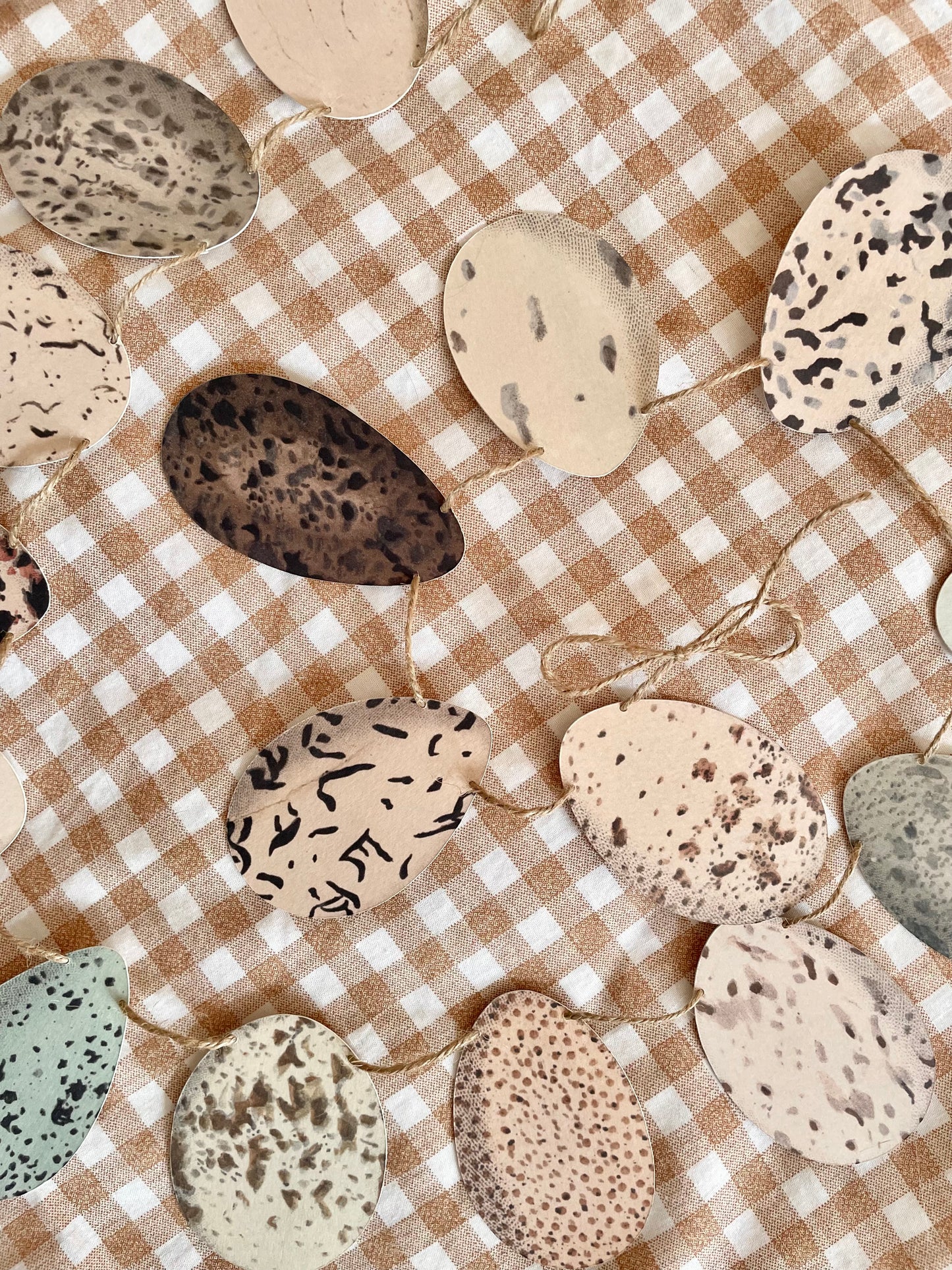 Speckled Egg Bunting