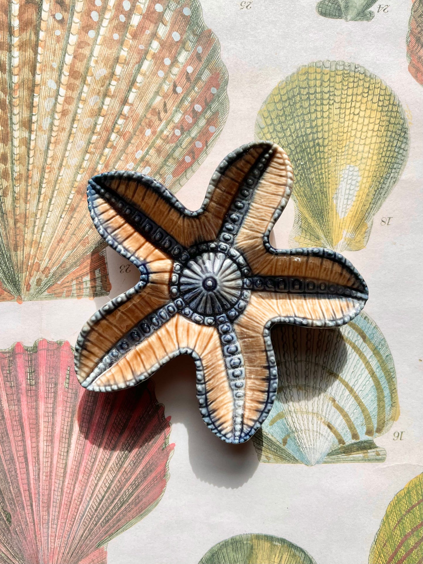Wade Starfish ⭐️