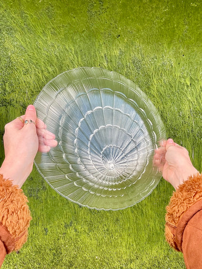 Large Glass shell dish
