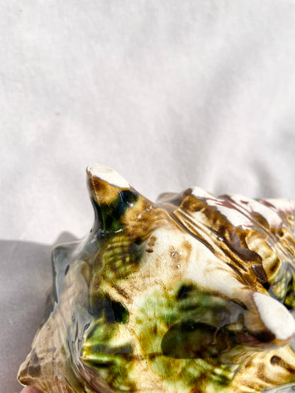 Shell Pot