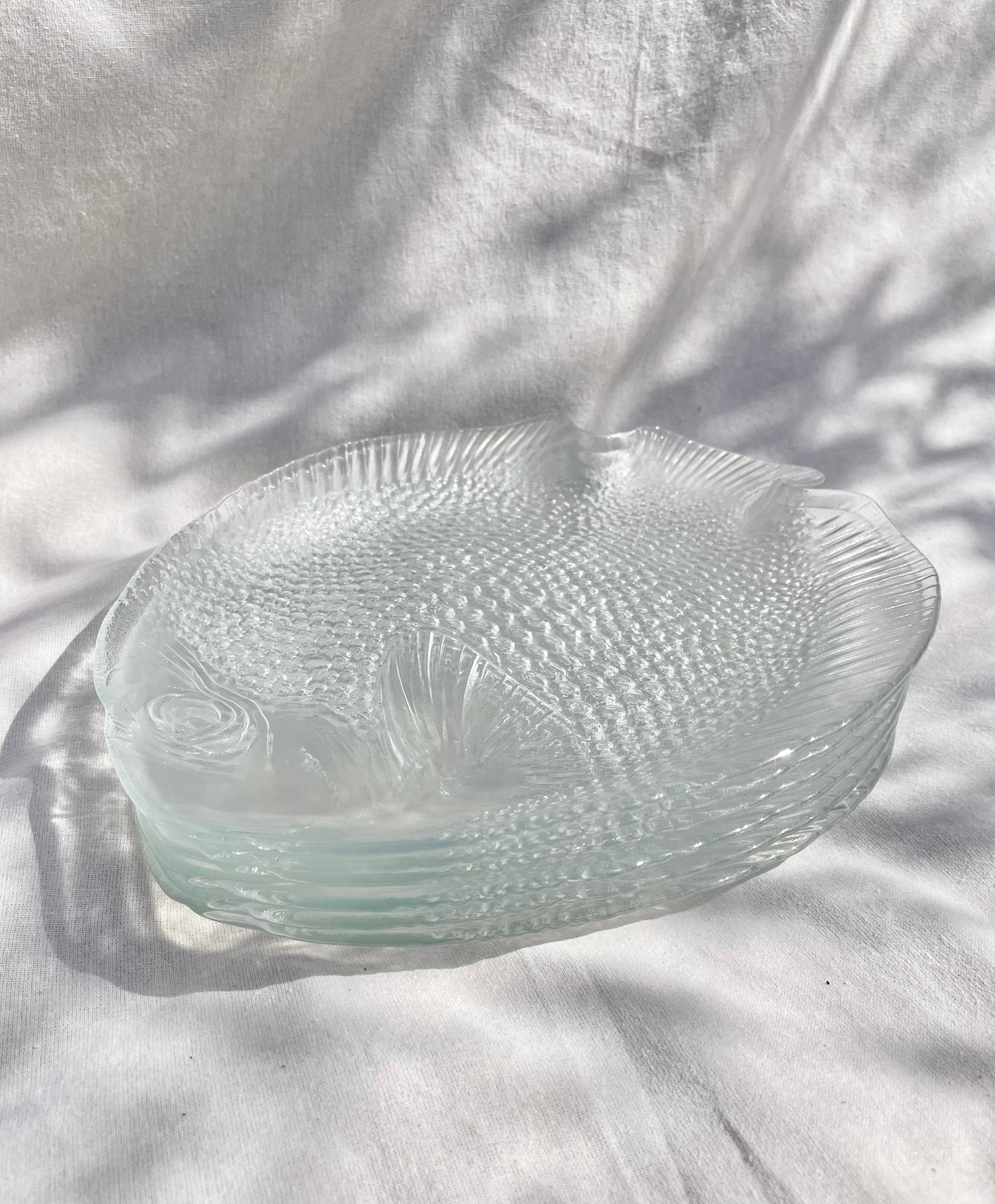 Set of 6 fish dishes