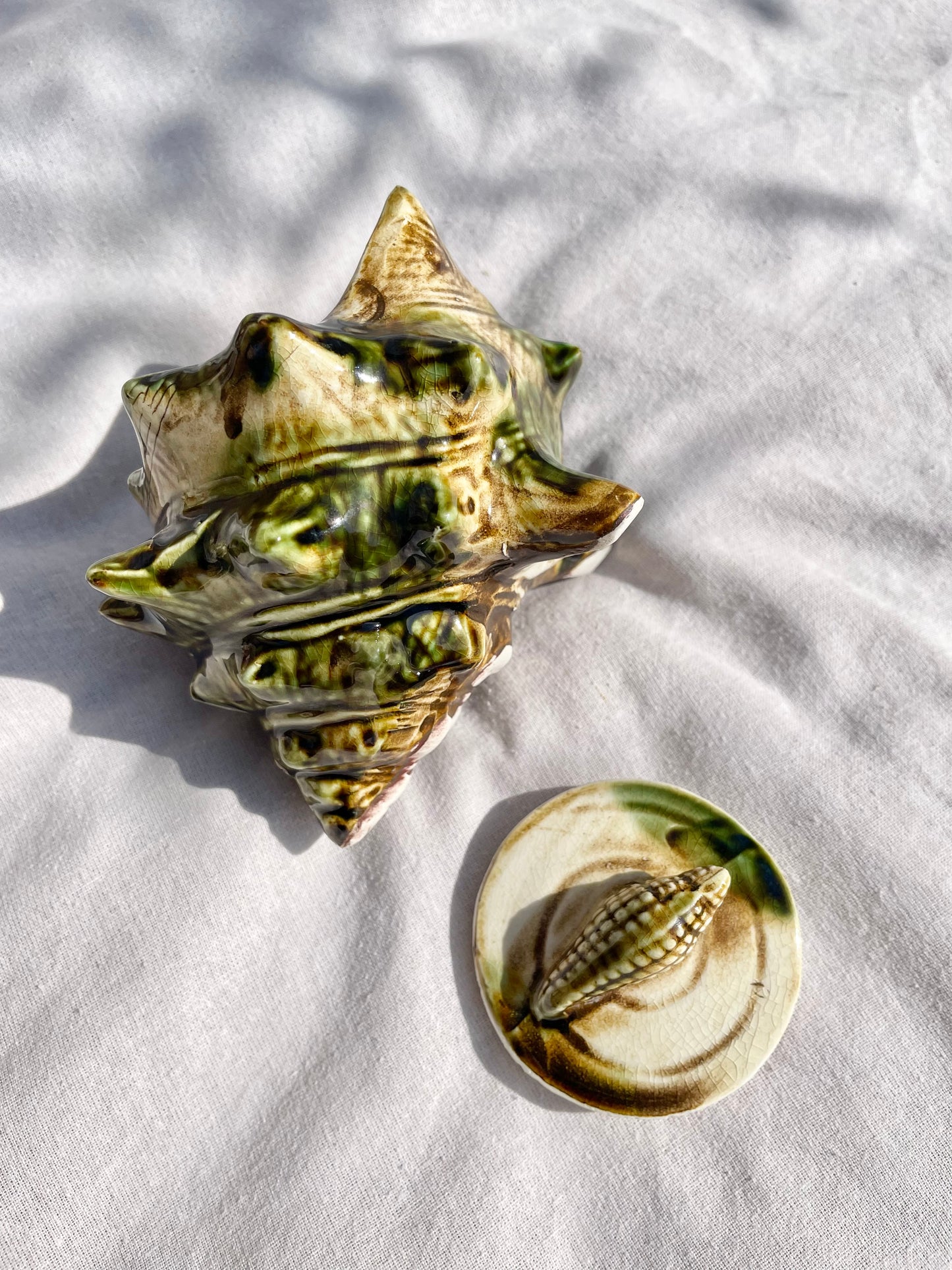 Shell Pot
