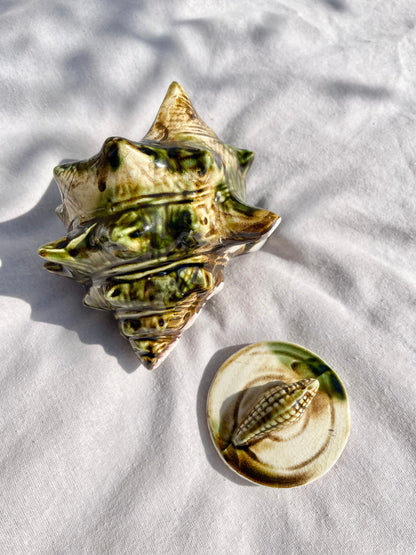 Shell Pot