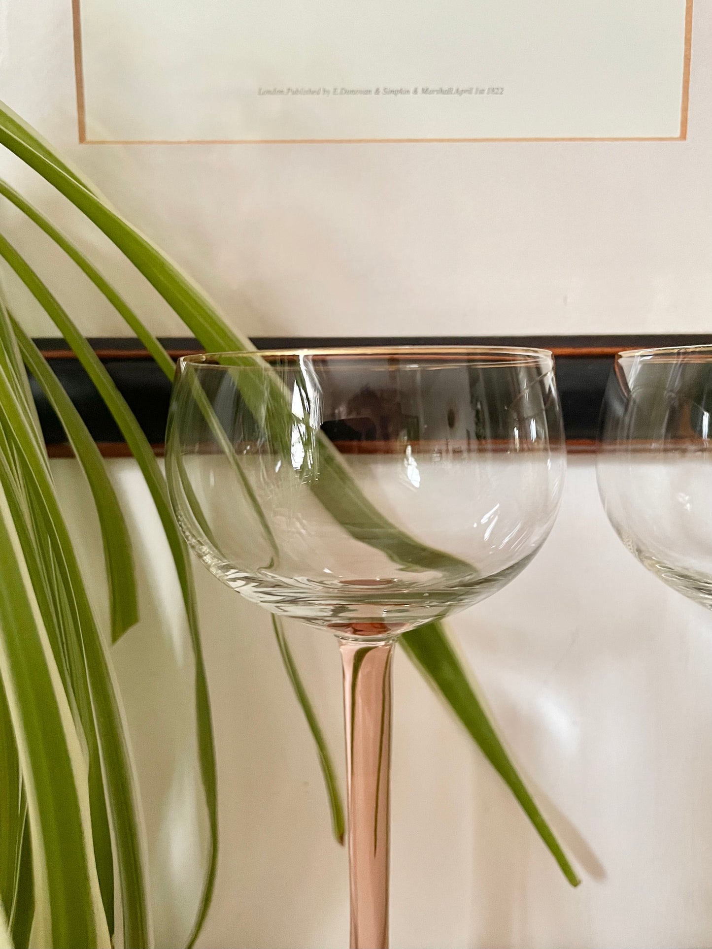 Pink Stemmed Glasses with Gilded Rim (Pair)