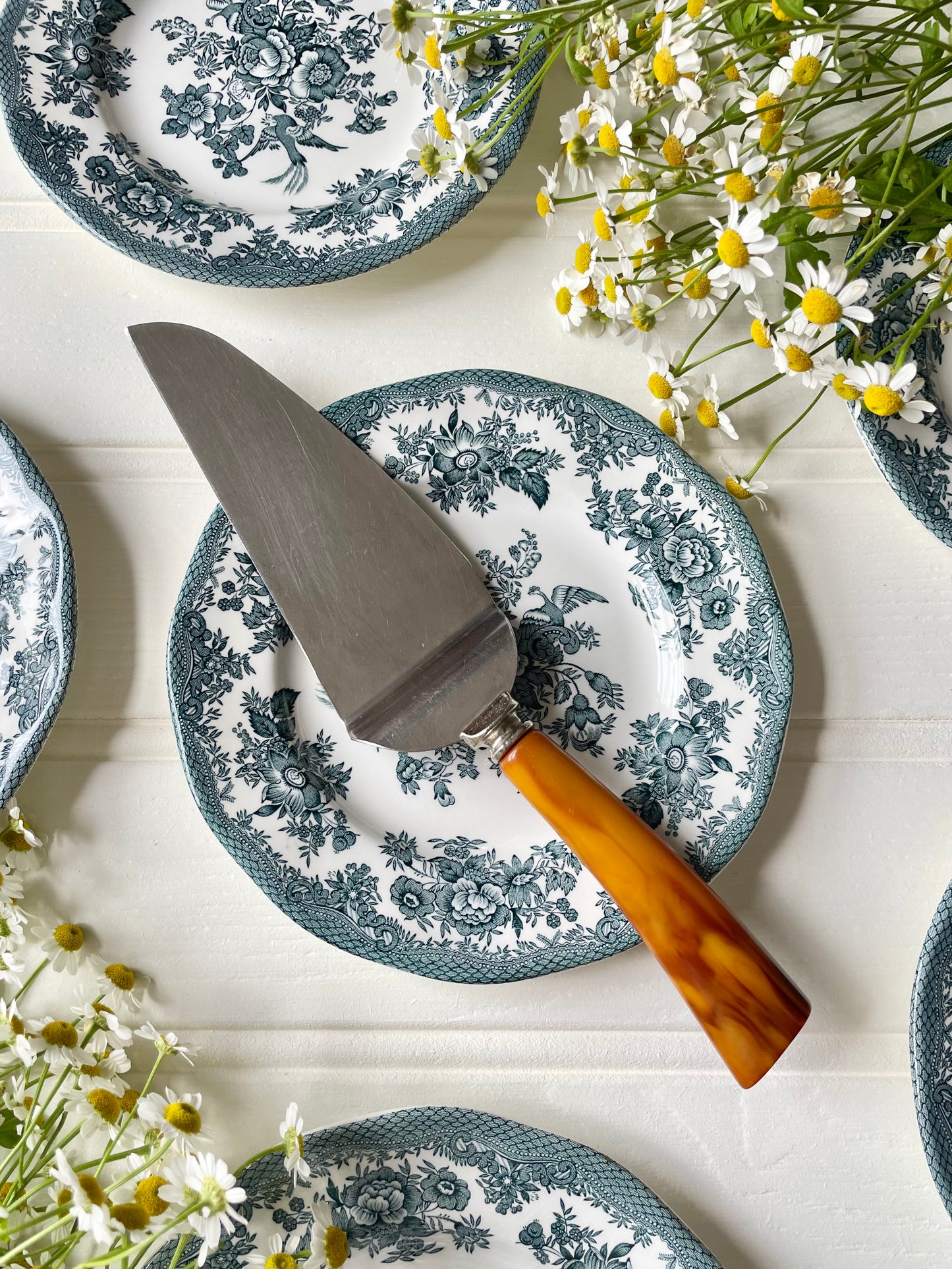Cake Knife