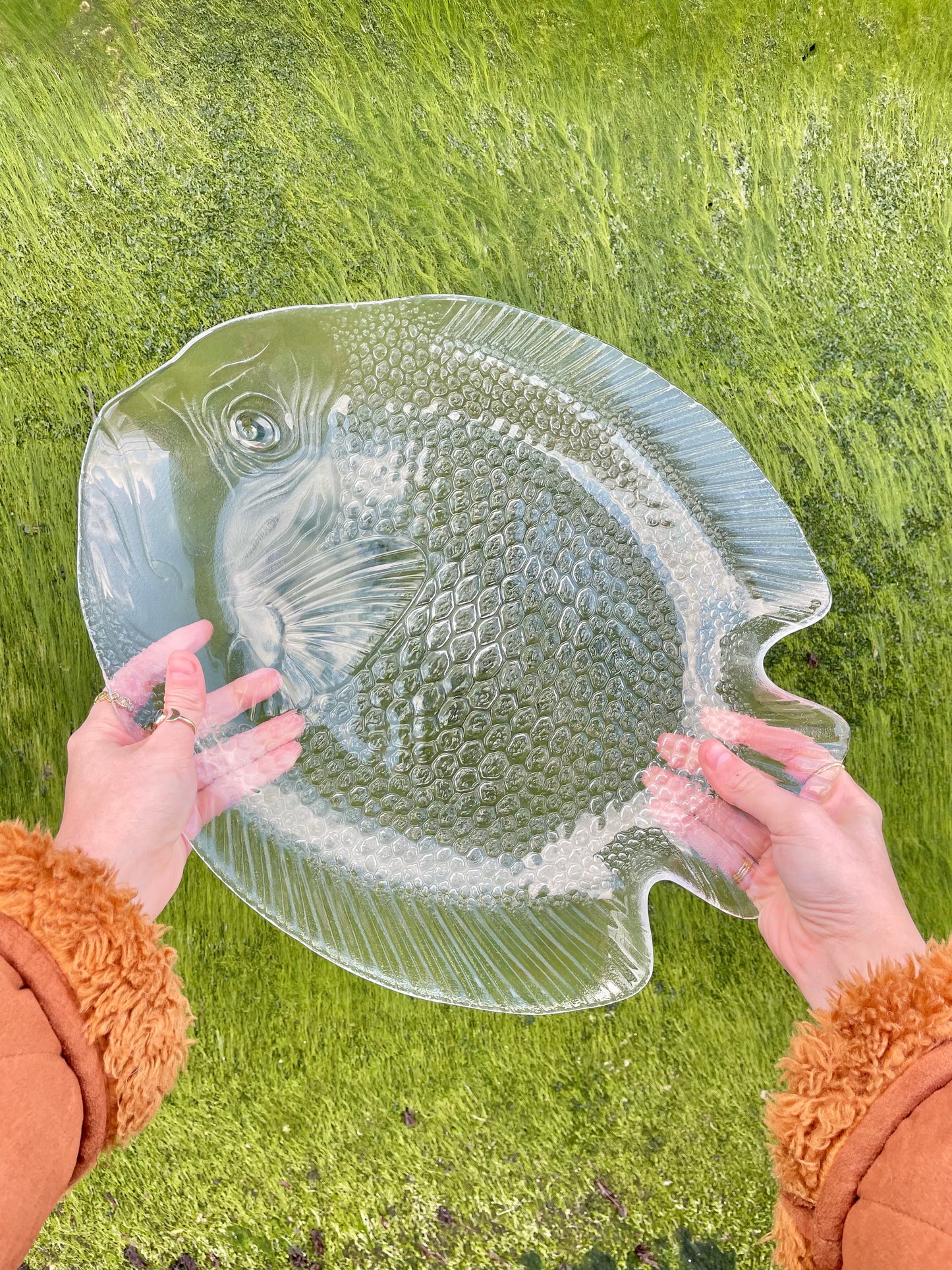 Large fish serving dish 🐟