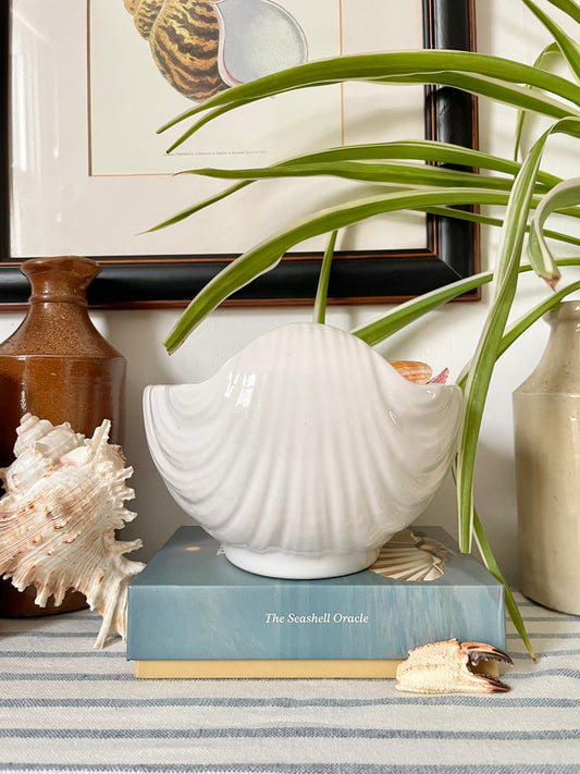 Portuguese Shell Bowl