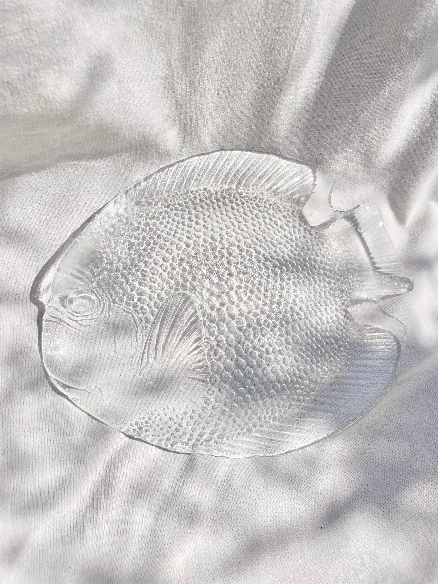 Set of 6 fish dishes