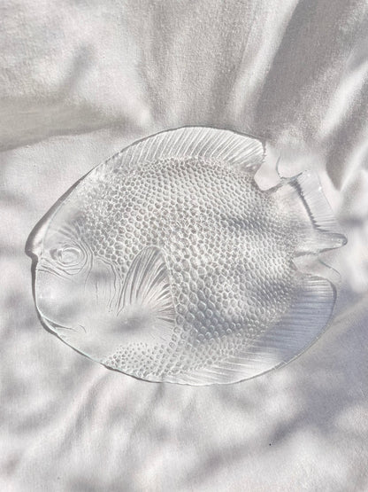 Set of 6 fish dishes