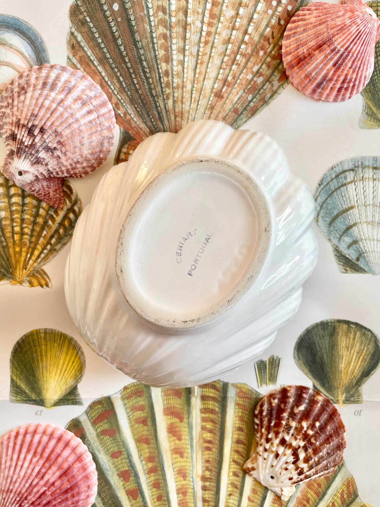 Portuguese Shell Bowl