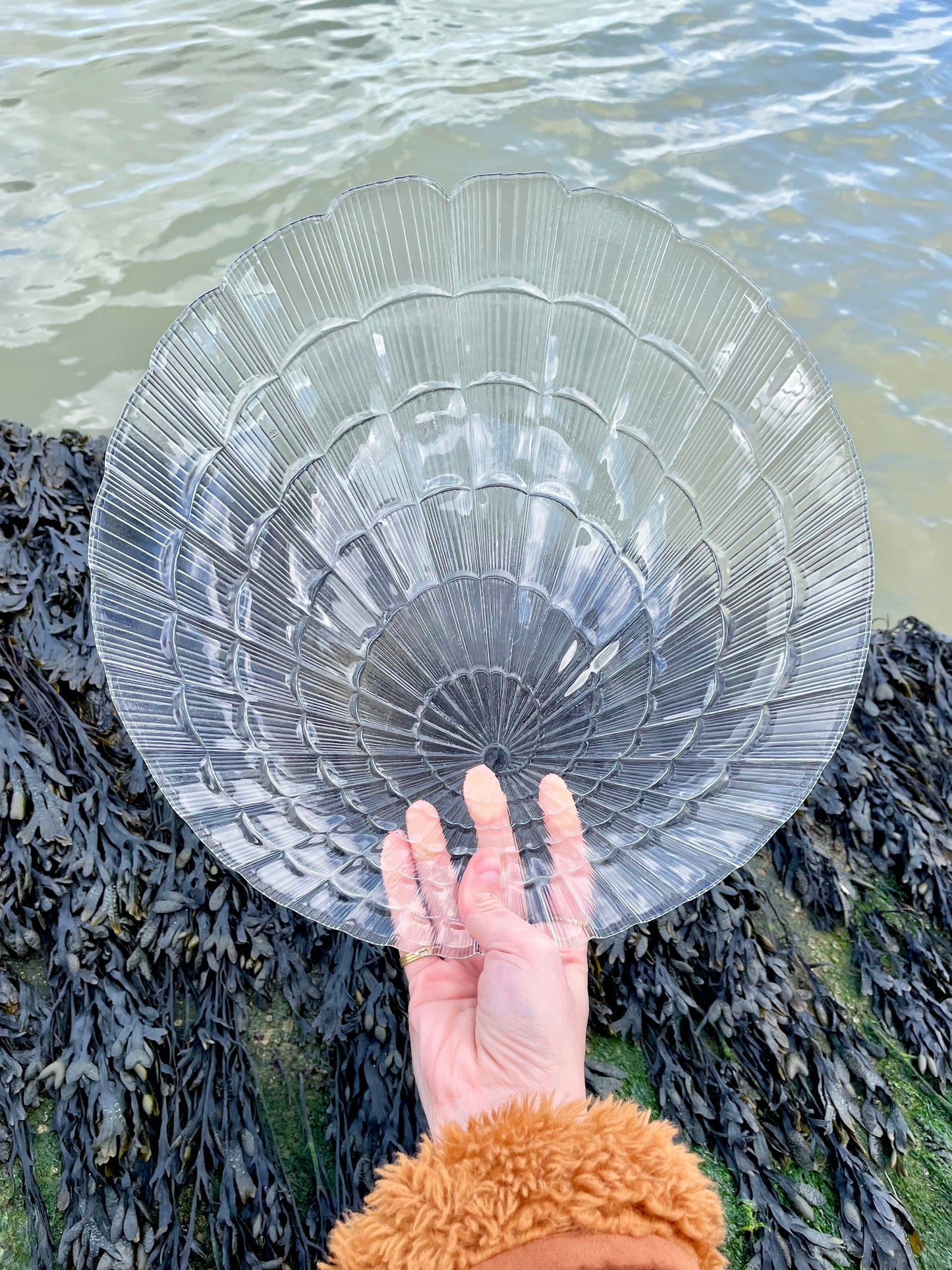Large Glass shell dish