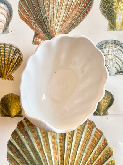 Portuguese Shell Bowl