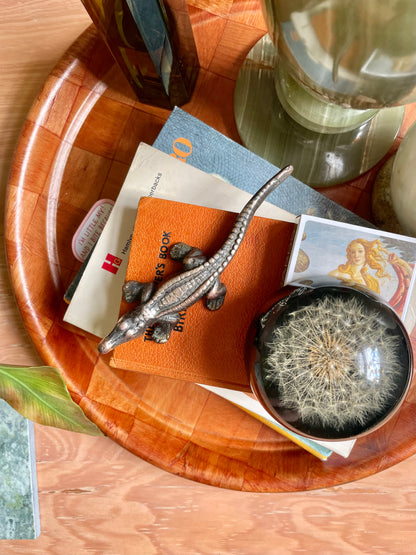 Little brass crocodile 🐊