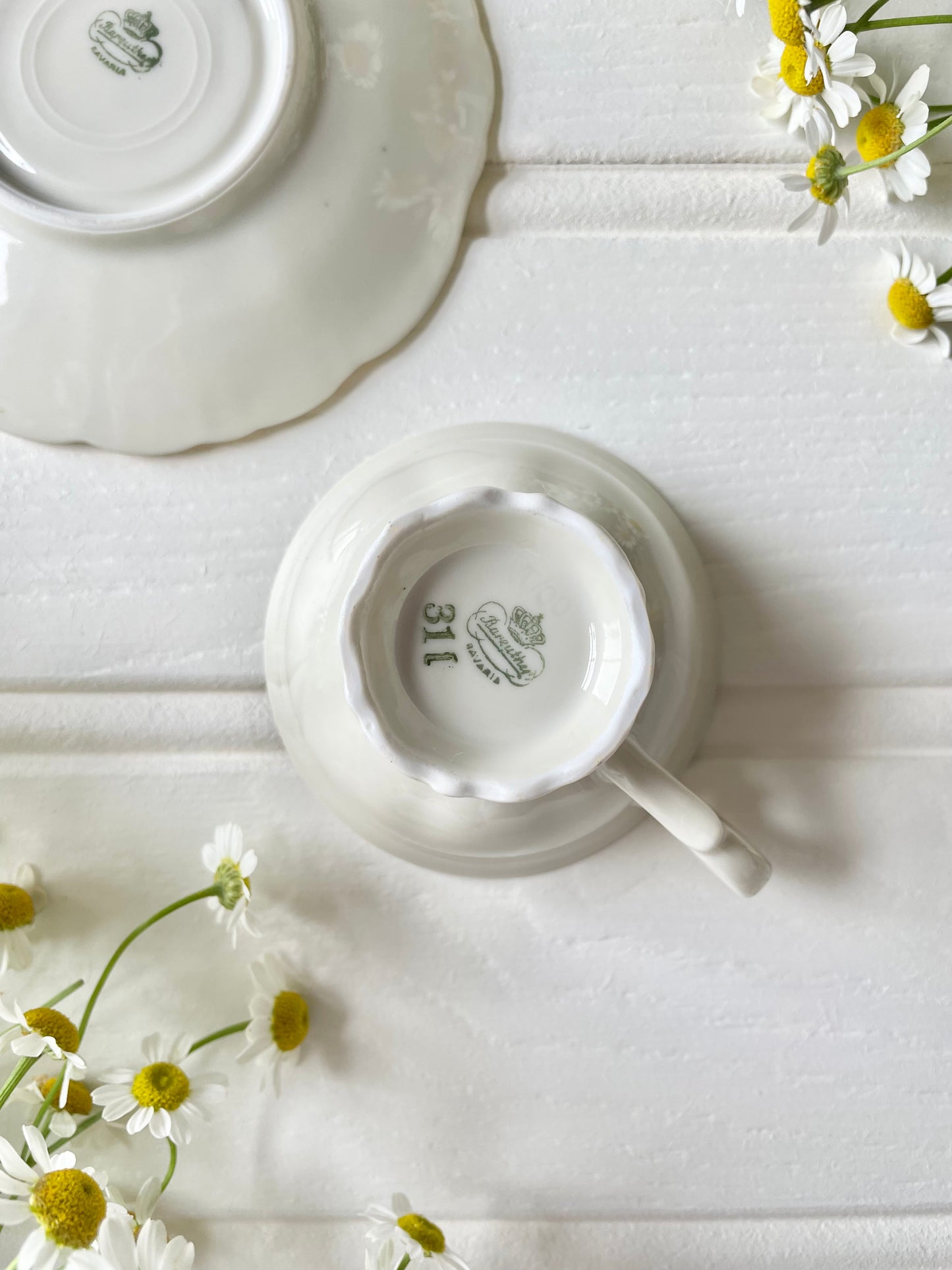 Teacup & Saucer