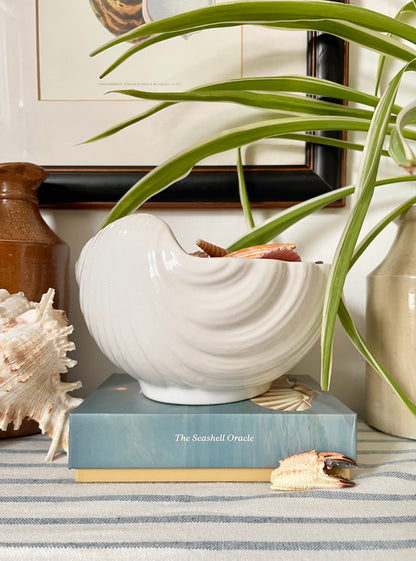 Portuguese Shell Bowl