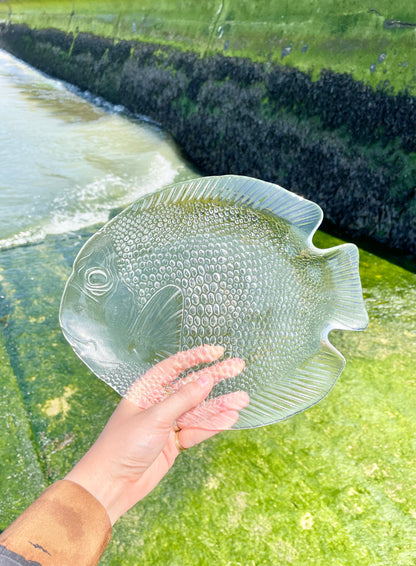 Set of 6 fish dishes