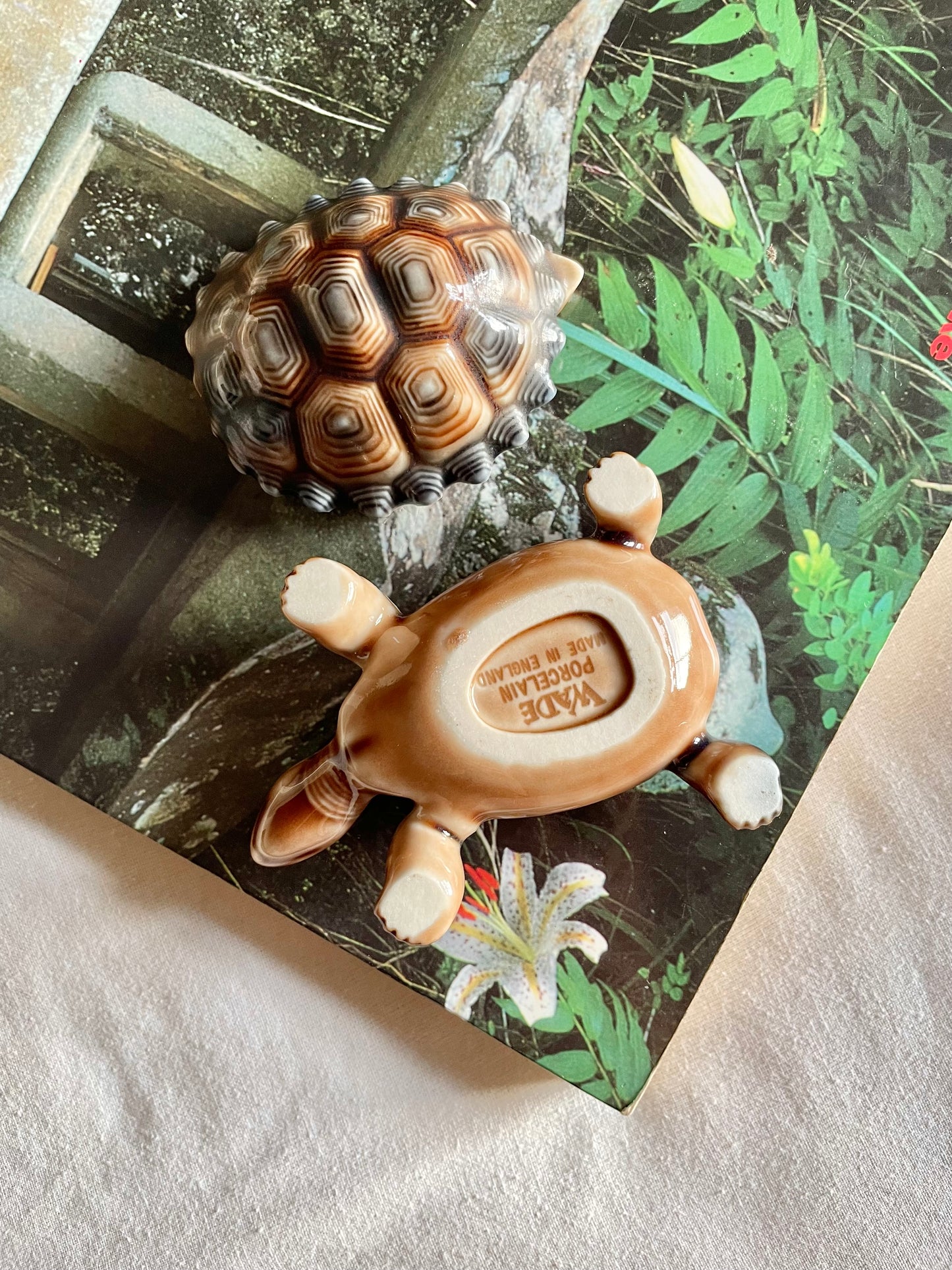 Wade Tortoise Pot