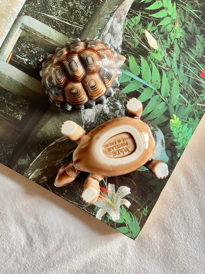Wade Tortoise Pot