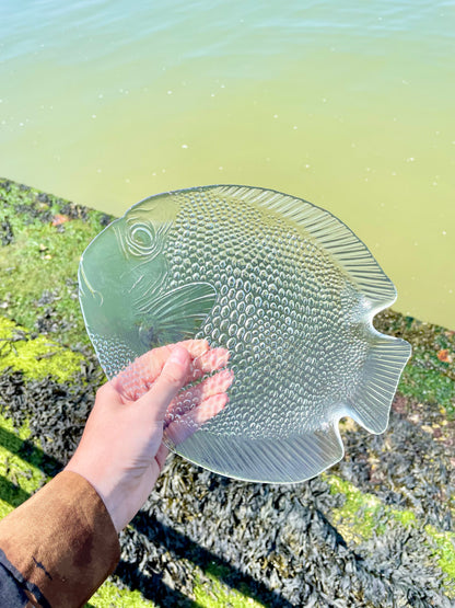 Set of 6 fish dishes