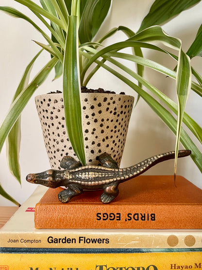 Little brass crocodile 🐊