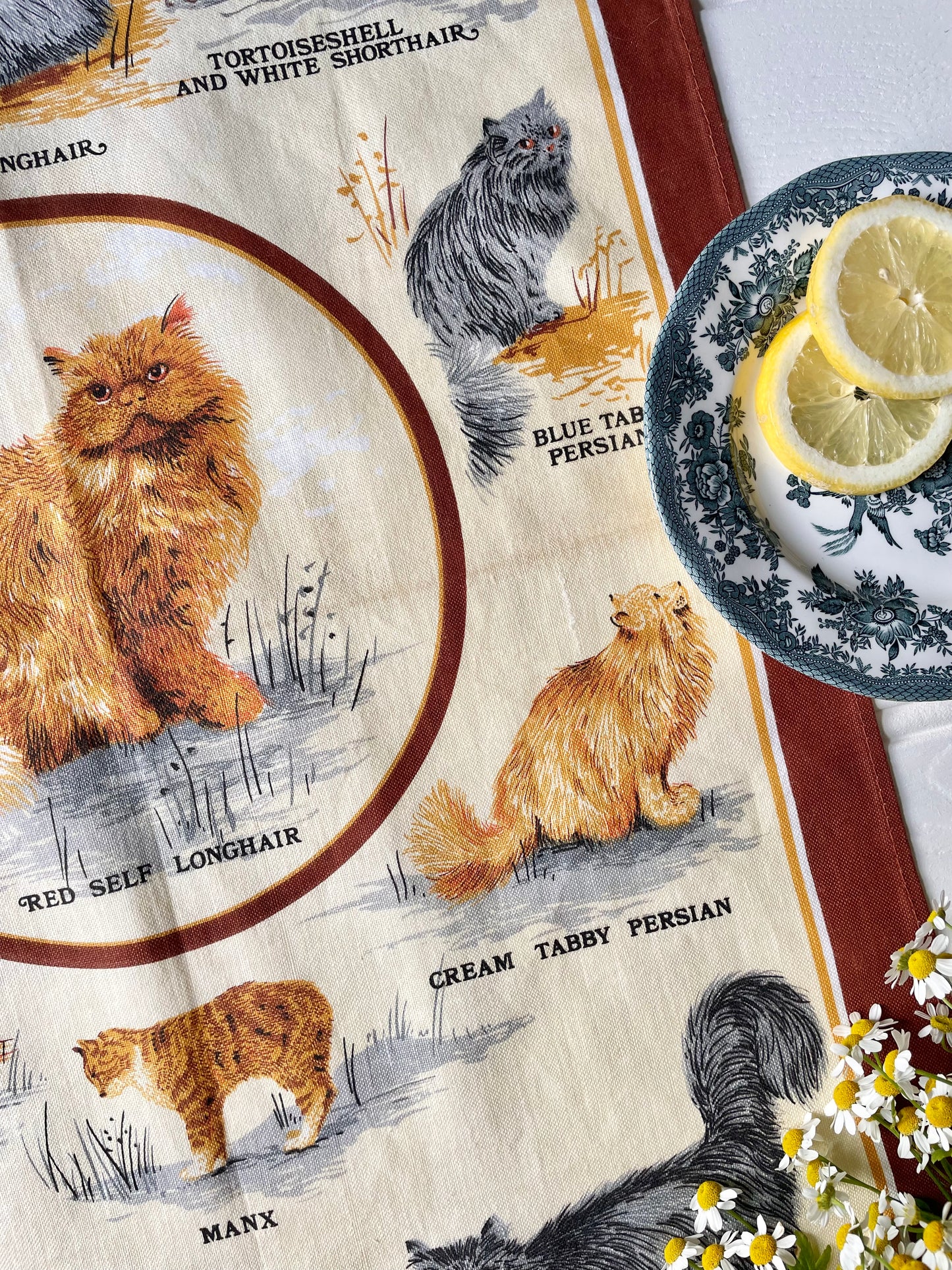 Cat Tea Towel