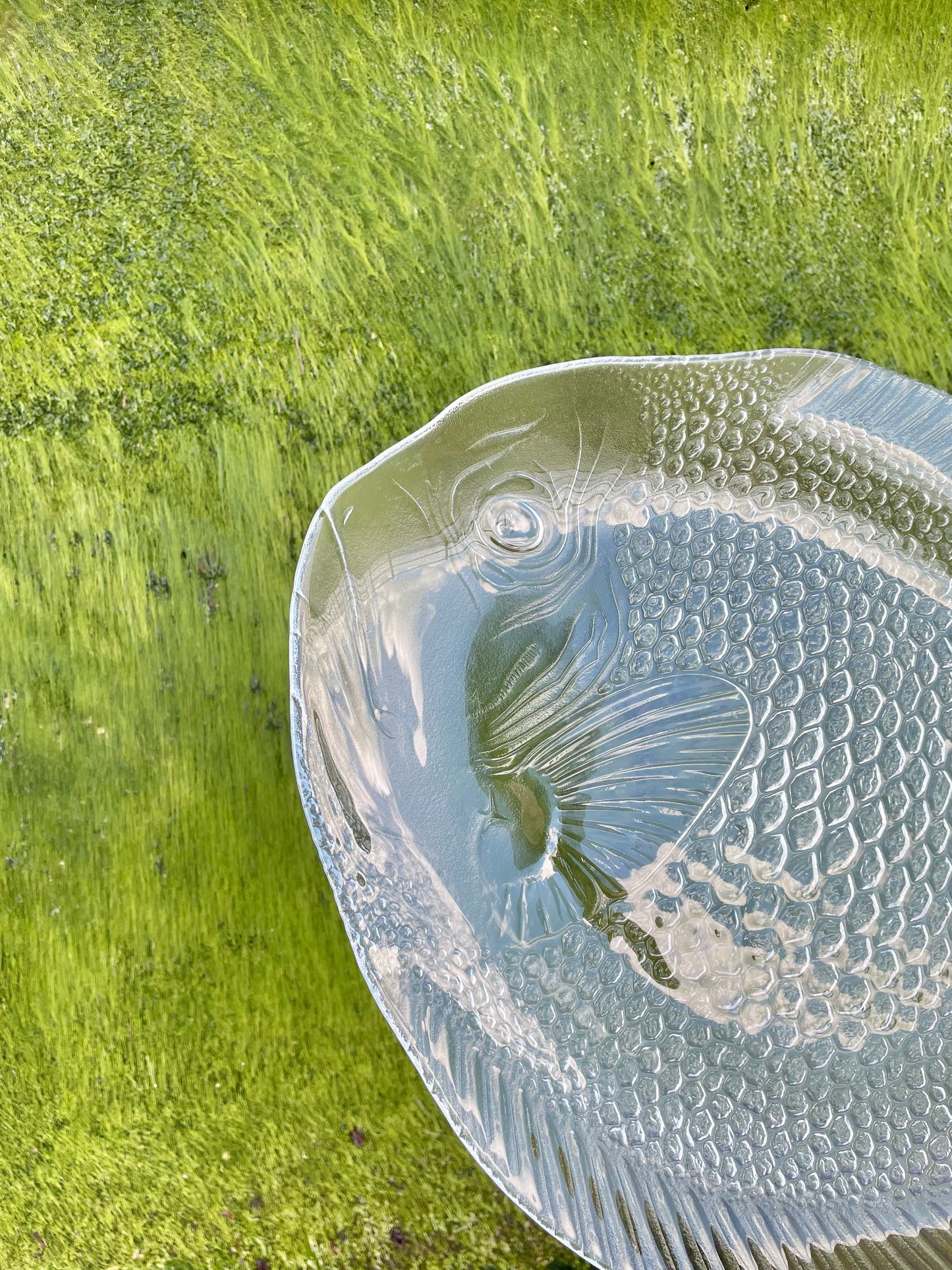 Large fish serving dish 🐟